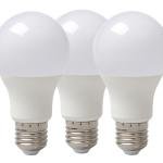 30 WATT BULB