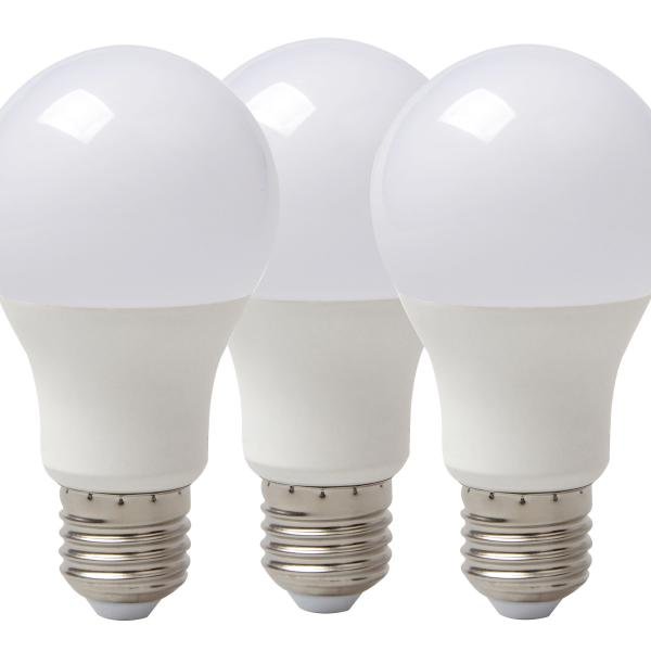 30 WATT BULB