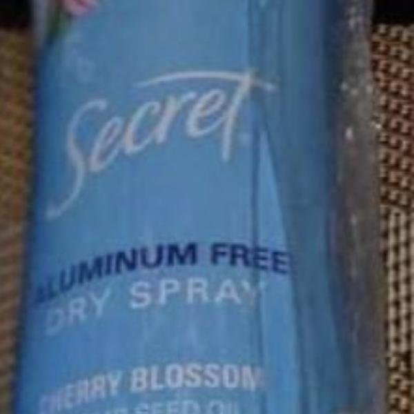 Secret Aluminum free dry spray