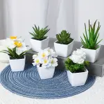 6pcs Lifelike Artificial Succulent & Flower