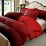 Gradient Color Print Duvet Cover Set, 3pcs