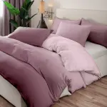 Gradient Color Print Duvet Cover Set, 3pcs