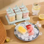9-Cavity Reusable BPA-Free Popsicle Mold